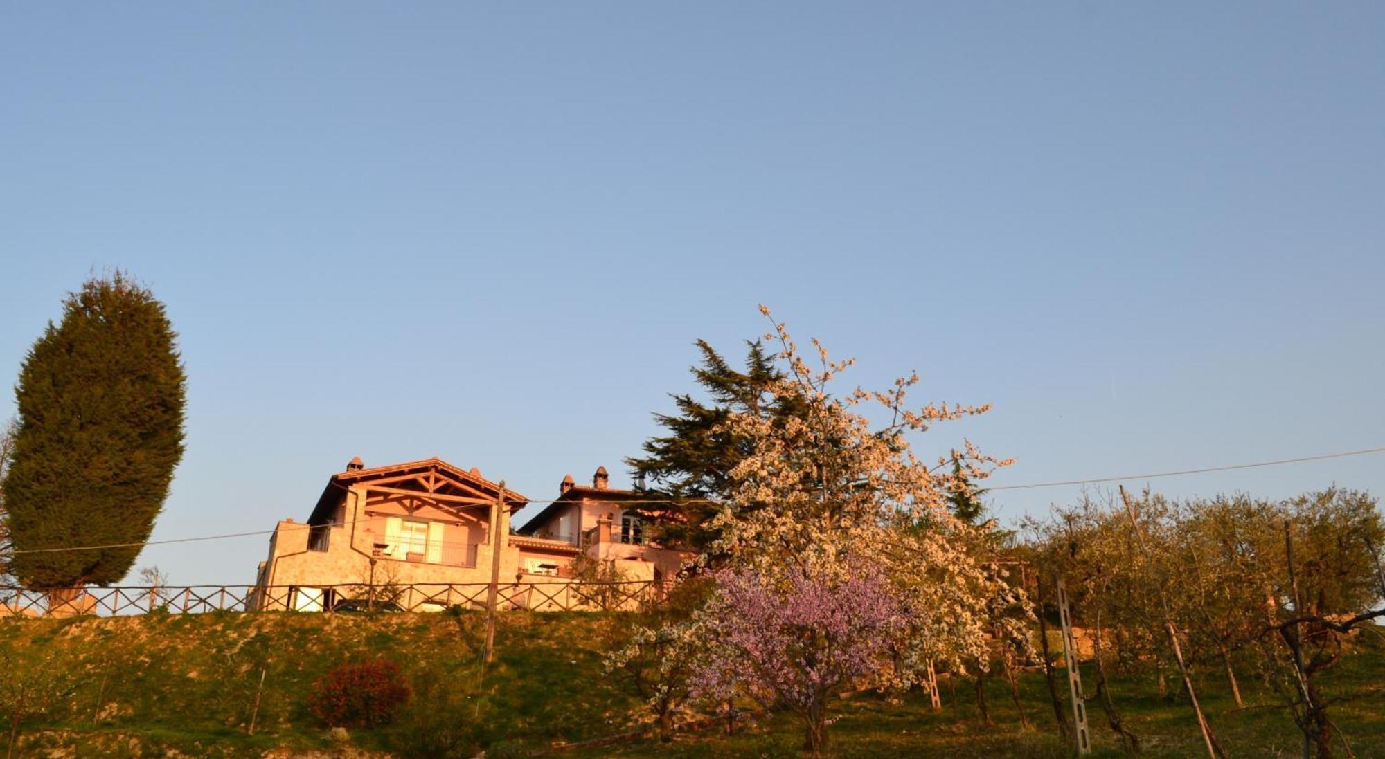 San Giovanni Al Monte Collazzone Buitenkant foto
